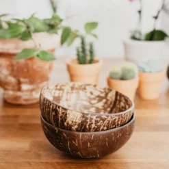 Coconut Bowl Kokosskål