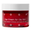 Day Cream for Oily Skin, 40 ml