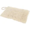 Disksvamp Luffa