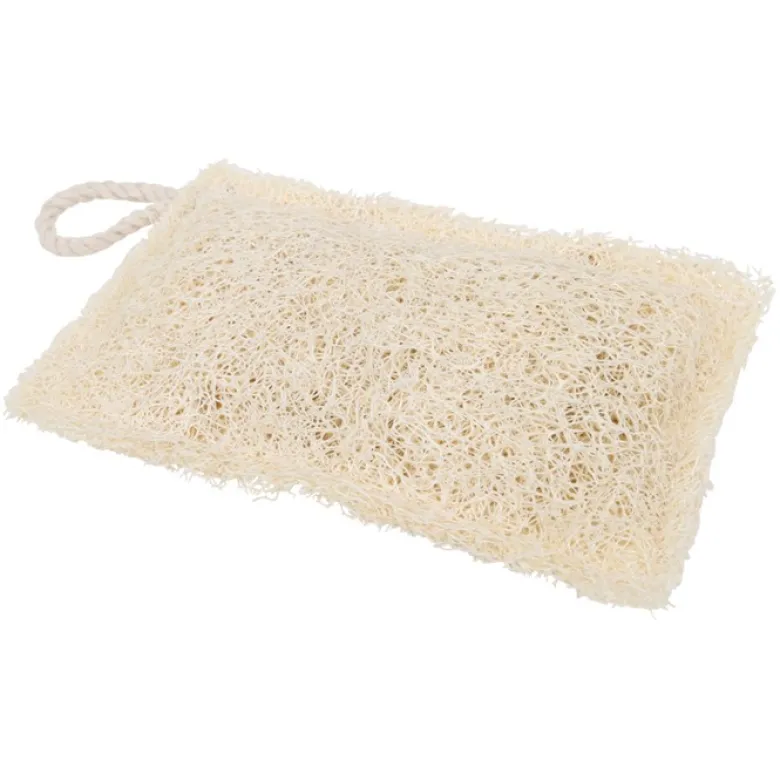Disksvamp Luffa