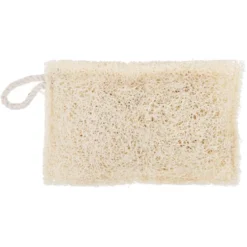 Disksvamp Luffa