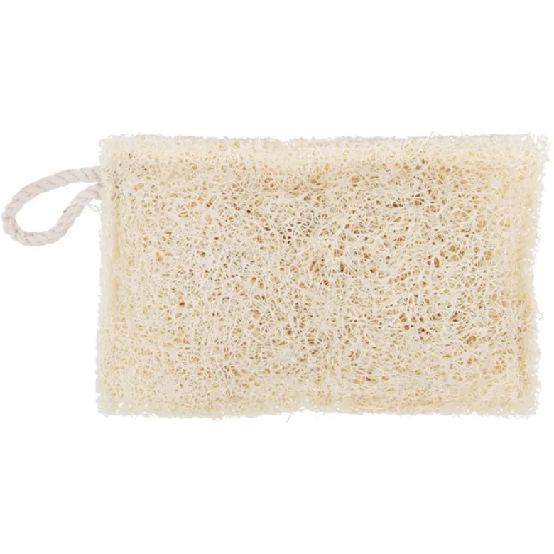 Disksvamp Luffa