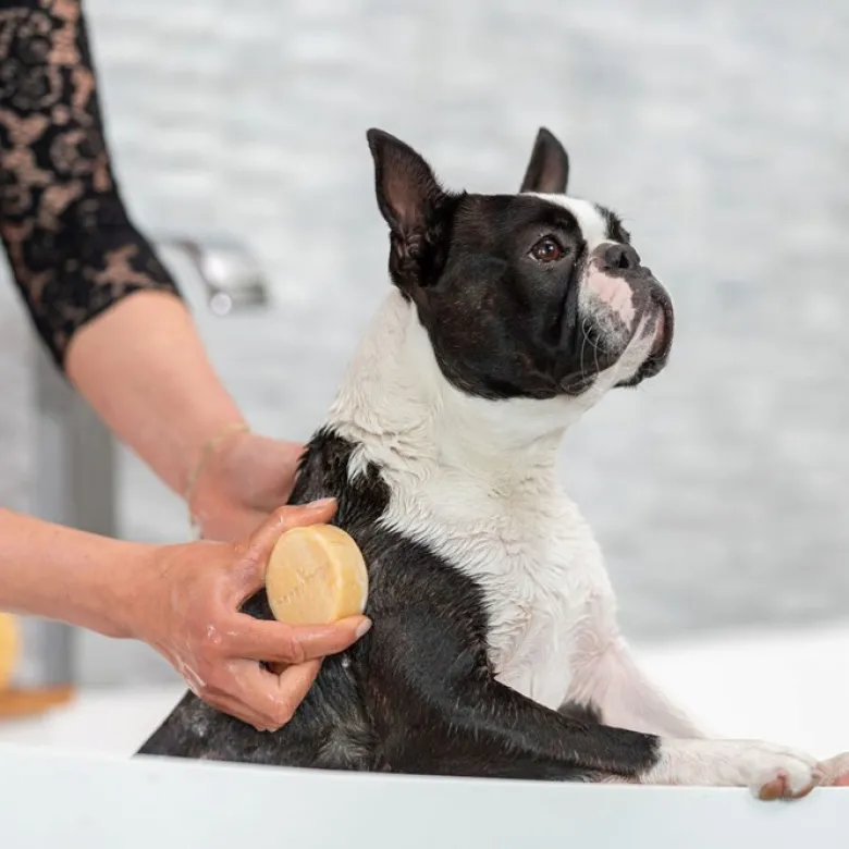 Dog Shampoo Bar for Short haired, 70 g