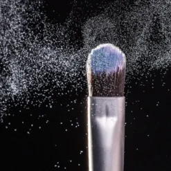 Eyeshadow Brush