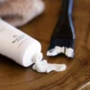Face Mask Recovery