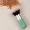 Kabuki Brush