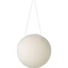 Konjac Sponge