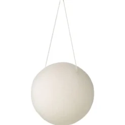 Konjac Sponge
