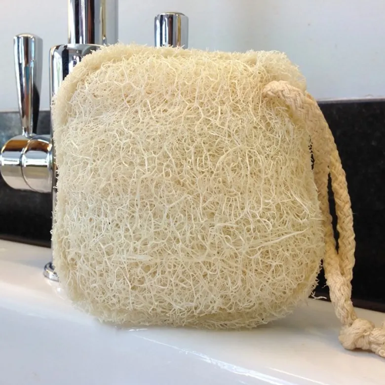Loofah Cleaning Pad