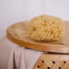 Natural Bath Sponge