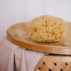 Natural Bath Sponge