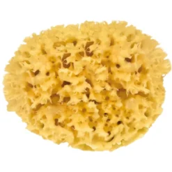 Natural Bath Sponge