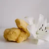 Natural Silk Sponge