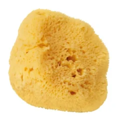 Natural Silk Sponge
