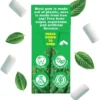 Naturligt Tuggummi Grönmynta, 15 g