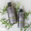 Rosemary Shampoo Fine Hair, 500 ml
