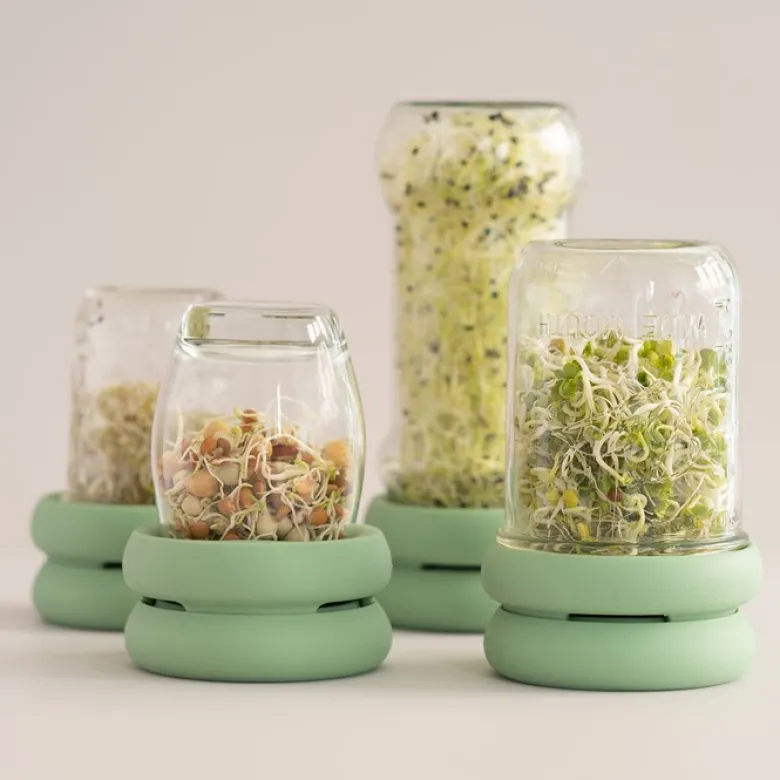 Sprout Huggers Silikonlock för groddburk